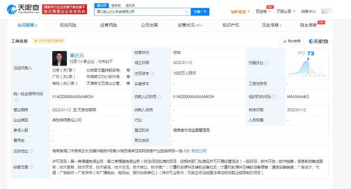 信息系統集成服務的價值與應用